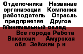 Отделочники › Название организации ­ Компания-работодатель › Отрасль предприятия ­ Другое › Минимальный оклад ­ 35 000 - Все города Работа » Вакансии   . Амурская обл.,Зейский р-н